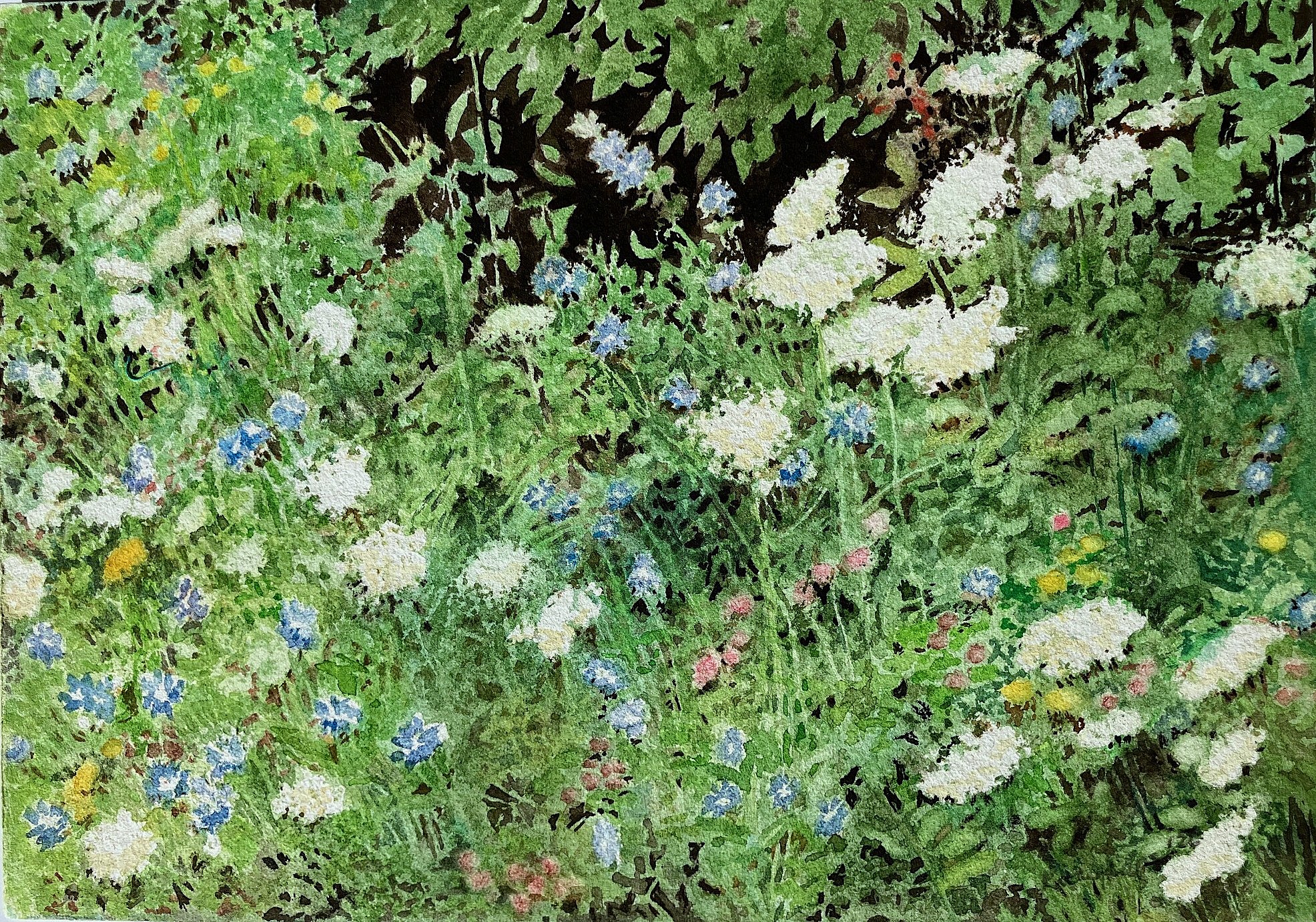 Lace and Cornflowers