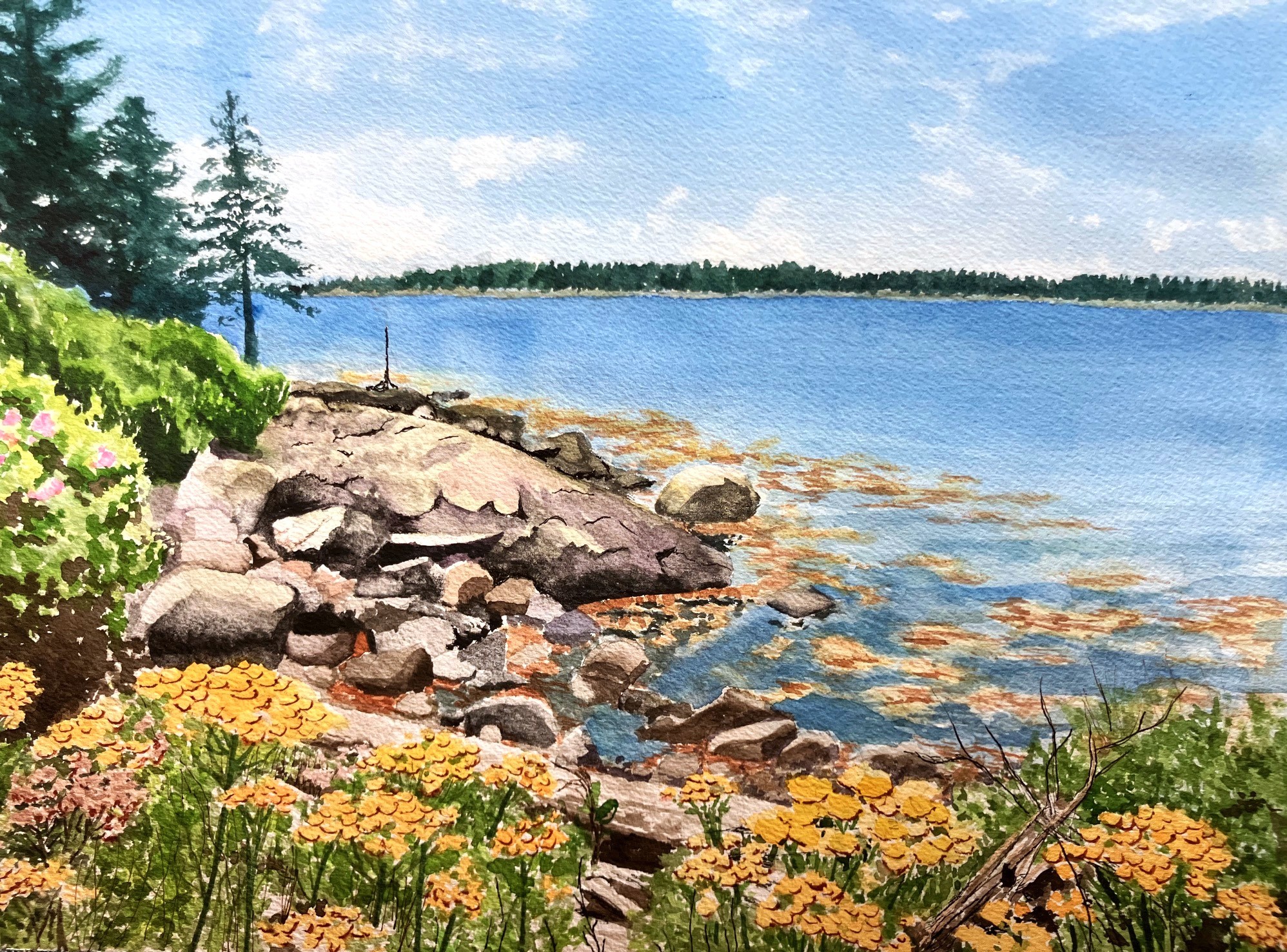 https://kathylane.com/wp-content/uploads/2024/05/Yarrow-Clark-Island.jpeg